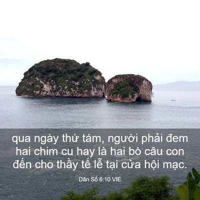 Picture 03 - Dân Số 6:10 VIE - qua ngày thứ tám, người phải đem hai - Bible Verse Picture