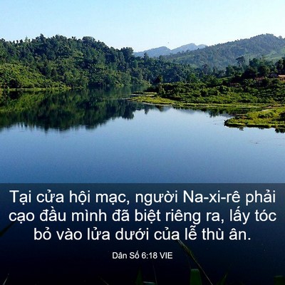 Picture 03 - Dân Số 6:18 VIE - Tại cửa hội mạc, người Na-xi-rê - Bible Verse Picture