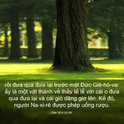 Picture 03 - Dân Số 6:20 VIE - rồi đưa qua đưa lại trước mặt Đức - Bible Verse Picture