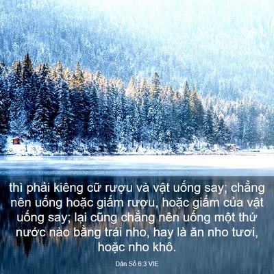 Picture 03 - Dân Số 6:3 VIE - thì phải kiêng cữ rượu và vật uống - Bible Verse Picture