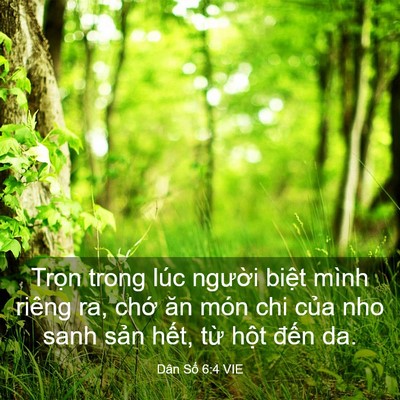 Picture 03 - Dân Số 6:4 VIE - Trọn trong lúc người biệt mình riêng - Bible Verse Picture