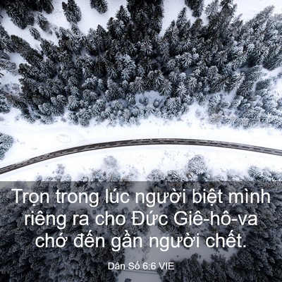 Picture 03 - Dân Số 6:6 VIE - Trọn trong lúc người biệt mình riêng ra - Bible Verse Picture