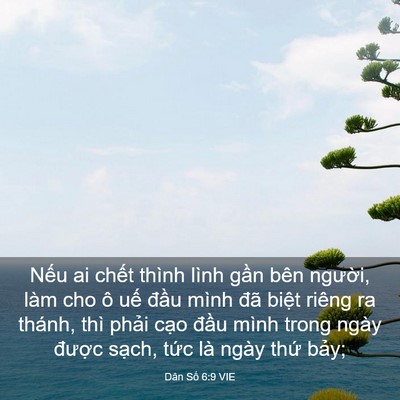Picture 03 - Dân Số 6:9 VIE - Nếu ai chết thình lình gần bên người, - Bible Verse Picture