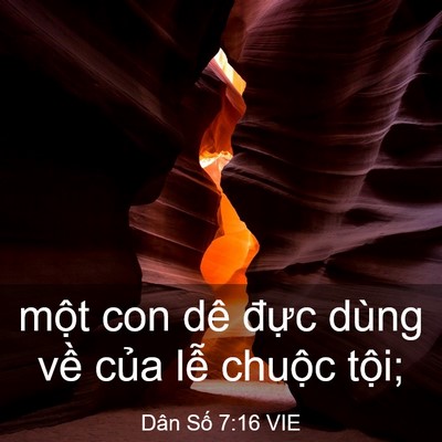 Picture 03 - Dân Số 7:16 VIE - một con dê đực dùng về của lễ - Bible Verse Picture
