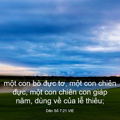 Picture 03 - Dân Số 7:21 VIE - một con bò đực tơ, một con chiên - Bible Verse Picture