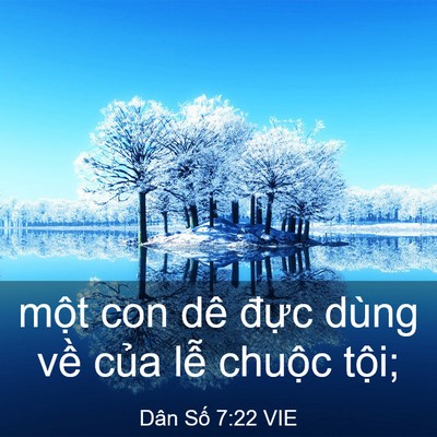 Picture 03 - Dân Số 7:22 VIE - một con dê đực dùng về của lễ - Bible Verse Picture