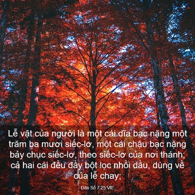 Picture 03 - Dân Số 7:25 VIE - Lễ vật của người là một cái dĩa - Bible Verse Picture