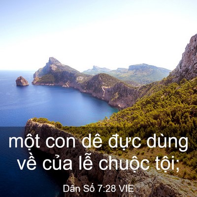 Picture 03 - Dân Số 7:28 VIE - một con dê đực dùng về của lễ - Bible Verse Picture