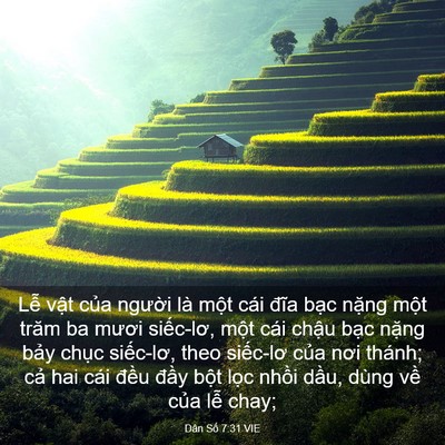 Picture 03 - Dân Số 7:31 VIE - Lễ vật của người là một cái đĩa - Bible Verse Picture