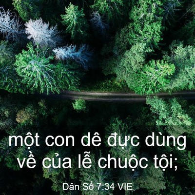 Picture 03 - Dân Số 7:34 VIE - một con dê đực dùng về của lễ - Bible Verse Picture