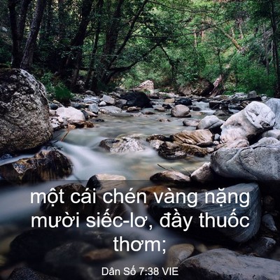 Picture 03 - Dân Số 7:38 VIE - một cái chén vàng nặng mười siếc-lơ, - Bible Verse Picture