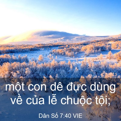 Picture 03 - Dân Số 7:40 VIE - một con dê đực dùng về của lễ - Bible Verse Picture