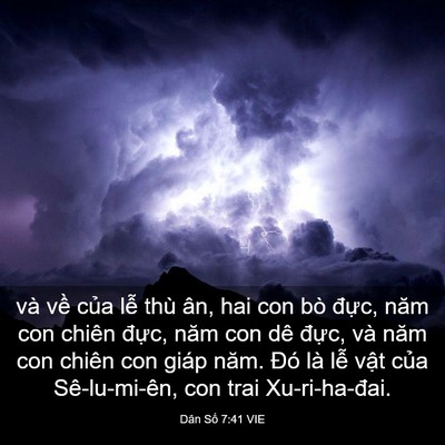 Picture 03 - Dân Số 7:41 VIE - và về của lễ thù ân, hai con bò đực, - Bible Verse Picture