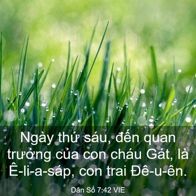 Picture 03 - Dân Số 7:42 VIE - Ngày thứ sáu, đến quan trưởng của con - Bible Verse Picture