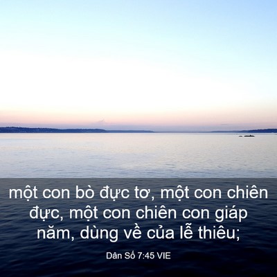 Picture 03 - Dân Số 7:45 VIE - một con bò đực tơ, một con chiên - Bible Verse Picture