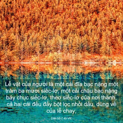 Picture 03 - Dân Số 7:49 VIE - Lễ vật của người là một cái đĩa - Bible Verse Picture