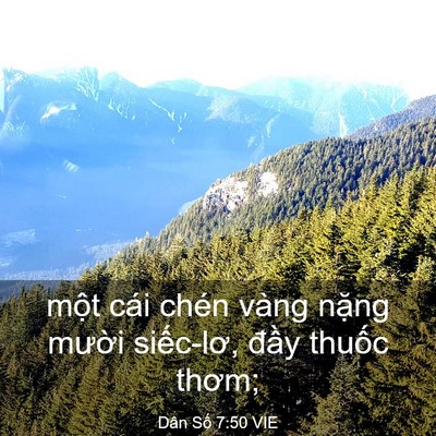 Picture 03 - Dân Số 7:50 VIE - một cái chén vàng nặng mười siếc-lơ, - Bible Verse Picture