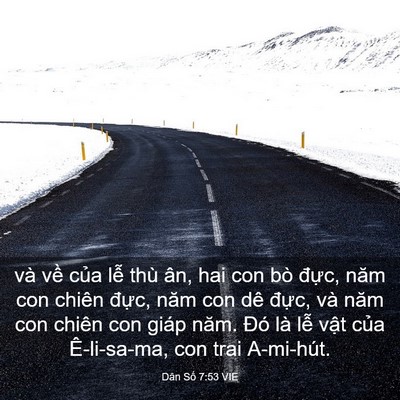Picture 03 - Dân Số 7:53 VIE - và về của lễ thù ân, hai con bò đực, - Bible Verse Picture