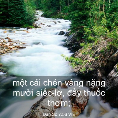 Picture 03 - Dân Số 7:56 VIE - một cái chén vàng nặng mười siếc-lơ, - Bible Verse Picture