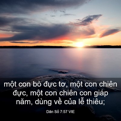 Picture 03 - Dân Số 7:57 VIE - một con bò đực tơ, một con chiên - Bible Verse Picture