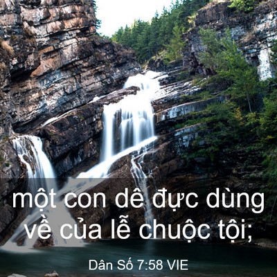 Picture 03 - Dân Số 7:58 VIE - một con dê đực dùng về của lễ - Bible Verse Picture