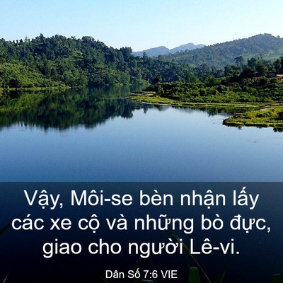 Picture 03 - Dân Số 7:6 VIE - Vậy, Môi-se bèn nhận lấy các xe cộ và - Bible Verse Picture