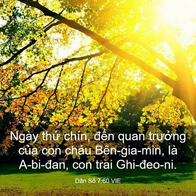 Picture 03 - Dân Số 7:60 VIE - Ngày thứ chín, đến quan trưởng của - Bible Verse Picture