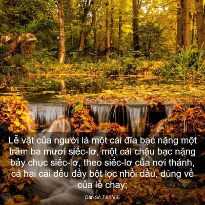 Picture 03 - Dân Số 7:61 VIE - Lễ vật của người là một cái đĩa - Bible Verse Picture