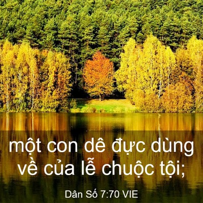 Picture 03 - Dân Số 7:70 VIE - một con dê đực dùng về của lễ - Bible Verse Picture