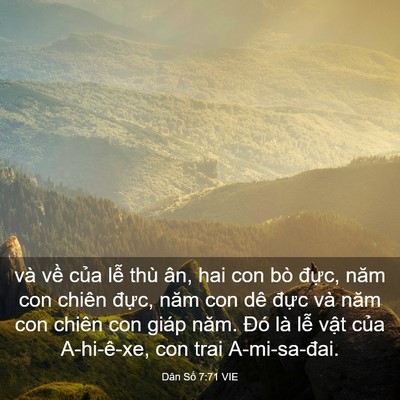 Picture 03 - Dân Số 7:71 VIE - và về của lễ thù ân, hai con bò đực, - Bible Verse Picture
