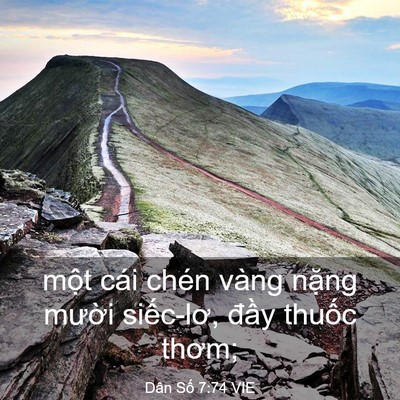 Picture 03 - Dân Số 7:74 VIE - một cái chén vàng nặng mười siếc-lơ, - Bible Verse Picture