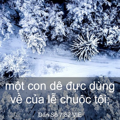 Picture 03 - Dân Số 7:82 VIE - một con dê đực dùng về của lễ - Bible Verse Picture
