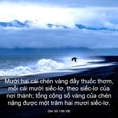 Picture 03 - Dân Số 7:86 VIE - Mười hai cái chén vàng đầy thuốc - Bible Verse Picture