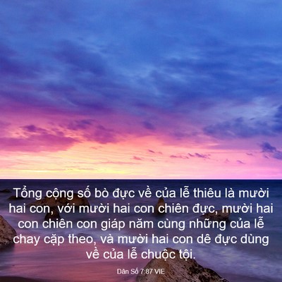 Picture 03 - Dân Số 7:87 VIE - Tổng cộng số bò đực về của lễ - Bible Verse Picture