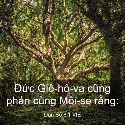 Picture 03 - Dân Số 8:1 VIE - Đức Giê-hô-va cũng phán cùng Môi-se - Bible Verse Picture