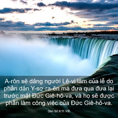 Picture 03 - Dân Số 8:11 VIE - A-rôn sẽ dâng người Lê-vi làm của lễ - Bible Verse Picture