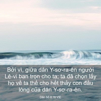 Picture 03 - Dân Số 8:16 VIE - Bởi vì, giữa dân Y-sơ-ra-ên người - Bible Verse Picture