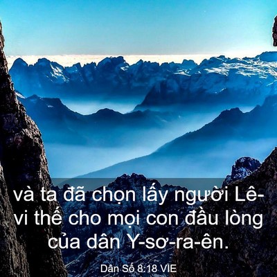 Picture 03 - Dân Số 8:18 VIE - và ta đã chọn lấy người Lê-vi thế - Bible Verse Picture