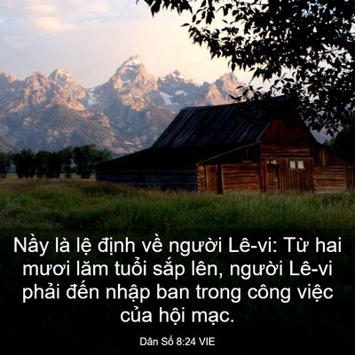 Picture 03 - Dân Số 8:24 VIE - Nầy là lệ định về người Lê-vi: Từ - Bible Verse Picture