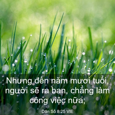 Picture 03 - Dân Số 8:25 VIE - Nhưng đến năm mươi tuổi, người sẽ - Bible Verse Picture