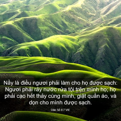 Picture 03 - Dân Số 8:7 VIE - Nầy là điều ngươi phải làm cho họ - Bible Verse Picture