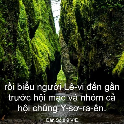 Picture 03 - Dân Số 8:9 VIE - rồi biểu người Lê-vi đến gần - Bible Verse Picture