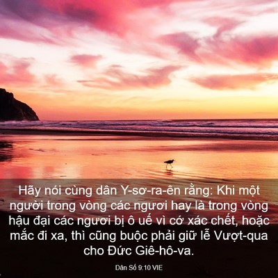 Picture 03 - Dân Số 9:10 VIE - Hãy nói cùng dân Y-sơ-ra-ên rằng: Khi - Bible Verse Picture