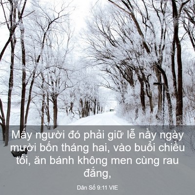 Picture 03 - Dân Số 9:11 VIE - Mấy người đó phải giữ lễ nầy ngày - Bible Verse Picture