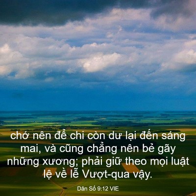 Picture 03 - Dân Số 9:12 VIE - chớ nên để chi còn dư lại đến sáng - Bible Verse Picture