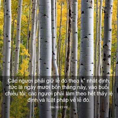 Picture 03 - Dân Số 9:3 VIE - Các ngươi phải giữ lễ đó theo k” - Bible Verse Picture
