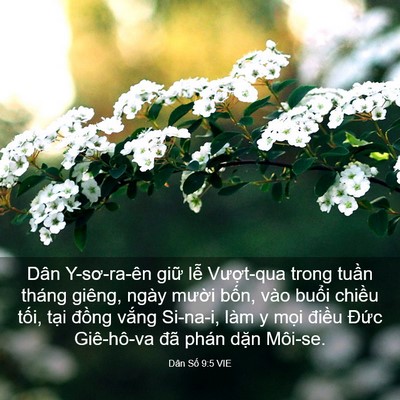 Picture 03 - Dân Số 9:5 VIE - Dân Y-sơ-ra-ên giữ lễ Vượt-qua trong - Bible Verse Picture