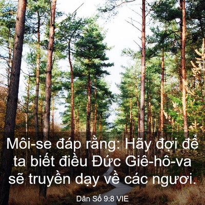 Picture 03 - Dân Số 9:8 VIE - Môi-se đáp rằng: Hãy đợi để ta biết - Bible Verse Picture