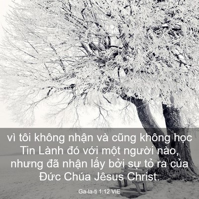 Picture 03 - Ga-la-ti 1:12 VIE - vì tôi không nhận và cũng không học Tin - Bible Verse Picture