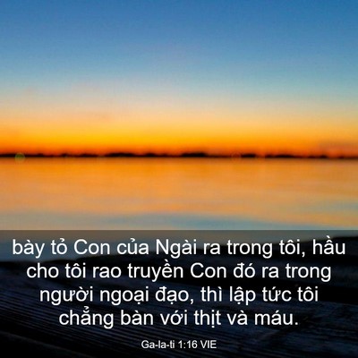 Picture 03 - Ga-la-ti 1:16 VIE - bày tỏ Con của Ngài ra trong tôi, hầu - Bible Verse Picture